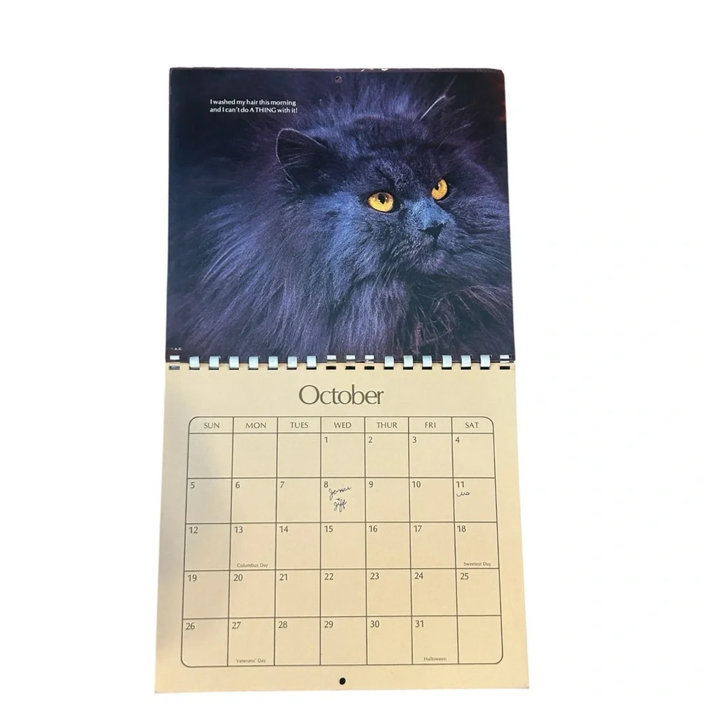 VTG 1975 American Greetings Cat Kitten Memo Calendar Colorful Photos Spiral RARE